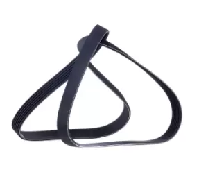 Image of RIDEX V-ribbed belt OPEL,FORD,RENAULT 305P0135 55568859,5750PG,5750RE Serpentine belt,Auxiliary belt,Poly V-belt,Ribbed belt,Multi V-belt,Poly belt