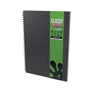 image of Classy Gecko All Media Wirebound Sketchbook Portrait 40Sheet A3 GEC104