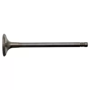 Image of Exhaust Valve 17389 by Febi Bilstein