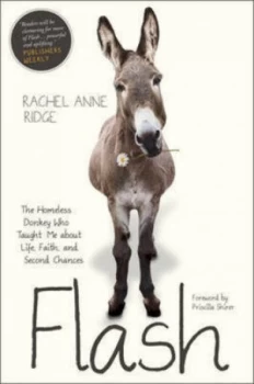 Image of Flash by Rachel Anne Ridge and Flash Book