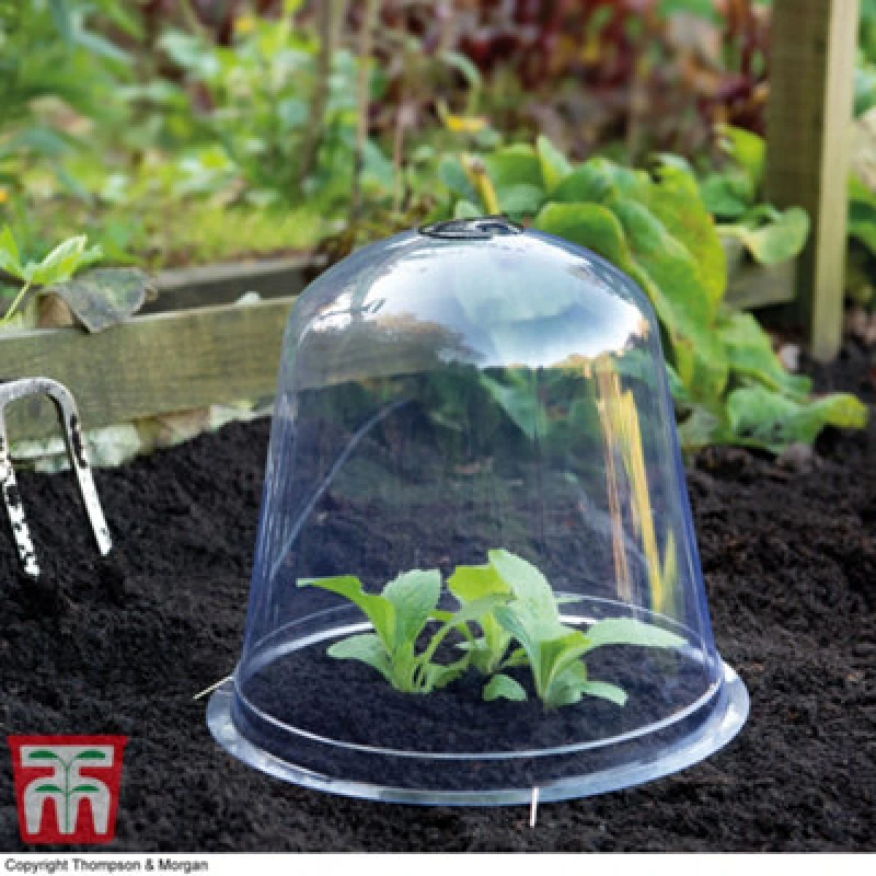 Image of Garden Gear Bell Cloche Garden Protection For Young Plants Sturdy Weatherproof Protects Alpine And Perennial Plants From Rotting & Pests X1