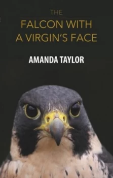 Image of The Falcon with a Virgins Face by Amanda Taylor