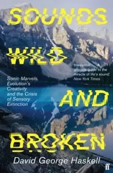 Image of Sounds Wild and Broken