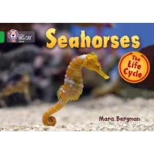 Image of Seahorses : Band 05/Green