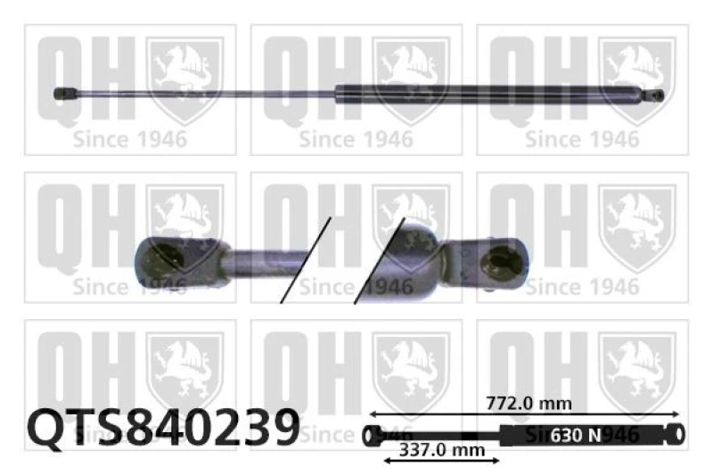 Image of QUINTON HAZELL Tailgate strut QUINTON HAZELL QTS840239