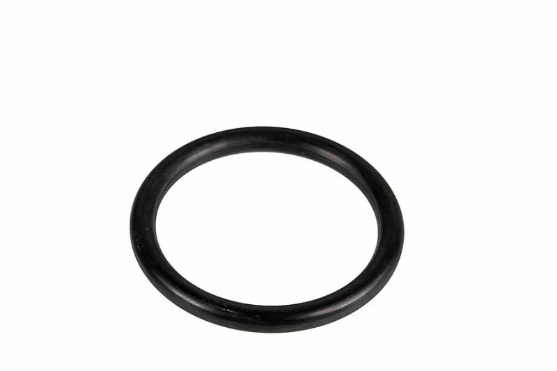 Image of Seal Ring METZGER 2430101