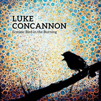 Image of Luke Concannon - Ecstatic Bird in the Burning Vinyl