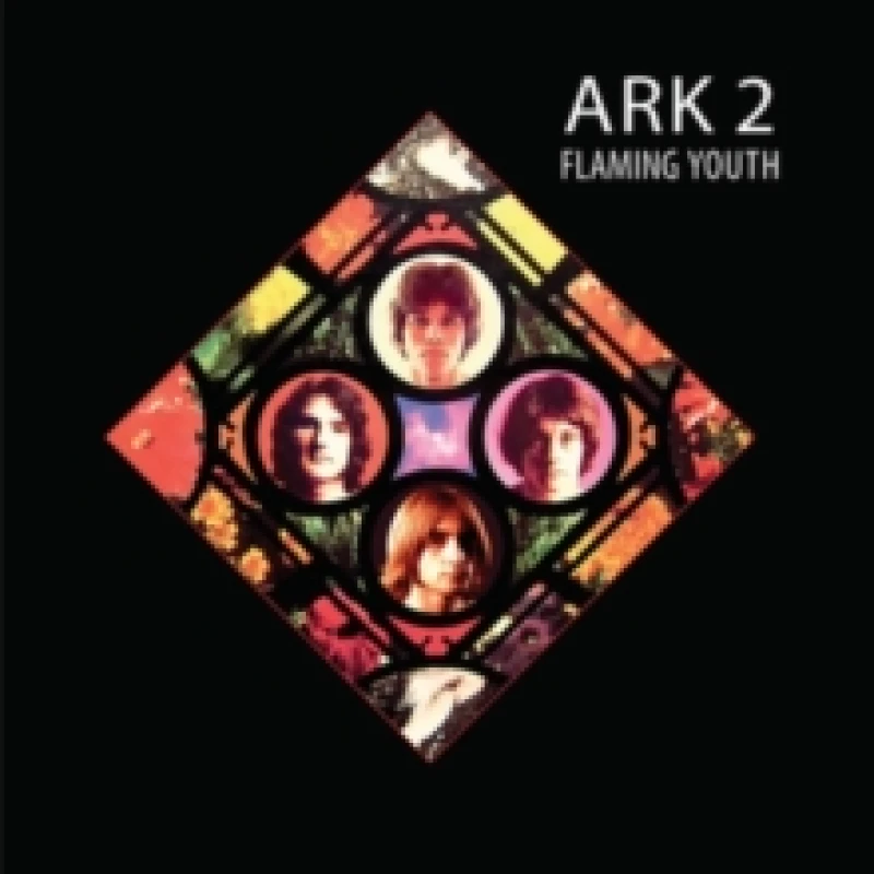 Image of Ark 2 Vinyl