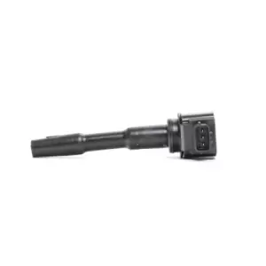 Image of DELPHI Ignition coil GN10798-12B1 Coil pack,Ignition coil pack RENAULT,DACIA,MEGANE III Grandtour (KZ0/1),Scenic III (JZ0/1_),Clio IV Schragheck (BH_)
