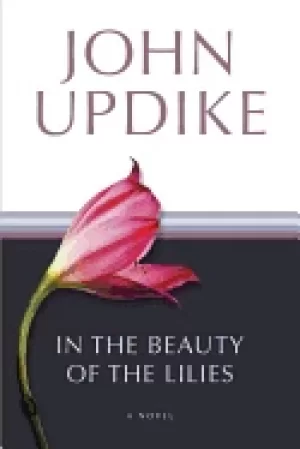 Image of in the beauty of the lilies a novel