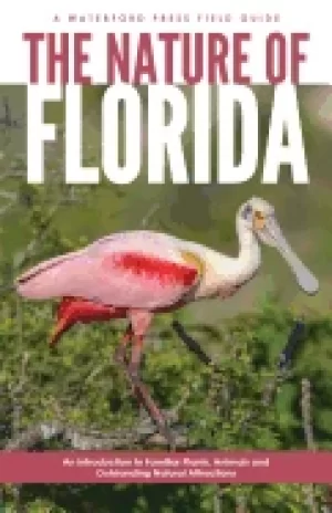 Image of nature of florida an introduction to familiar plants animals and outstandin