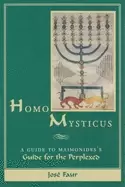 Image of homo mysticus a guide to maimonidess guide for the perplexed