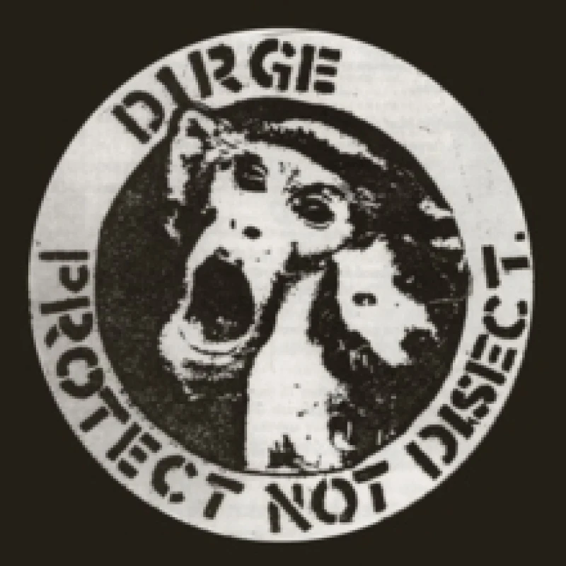 Image of Protect not disect CD / Album