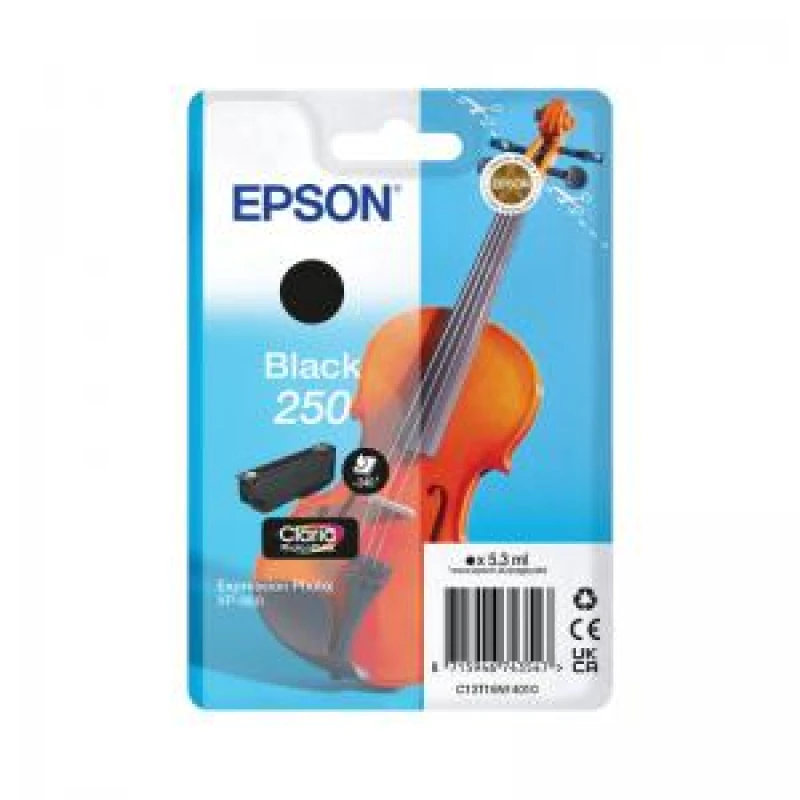 Image of Epson 250 Black Ink Cartridge - Violin (Original)