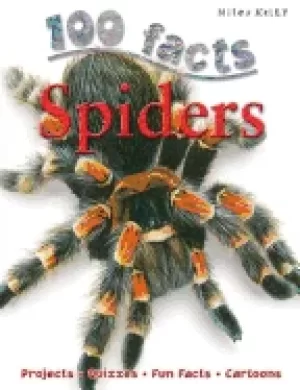 Image of 100 facts spiders venomous animals educational projects fun activities quiz