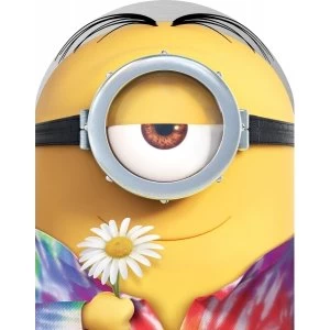 image of Minions Limited Edition Collectors Case DVD