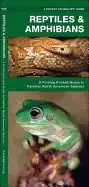 Image of reptiles and amphibians an introduction to familiar north american species