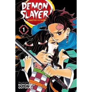 Image of Demon Slayer Kimetsu no Yaiba Volume 1 Manga