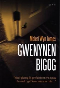 Image of Gwenynen Bigog by Meleri Wyn James Book