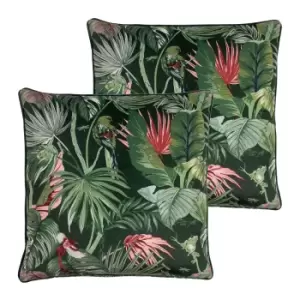 image of Amazon Creatures Velvet Twin Pack Polyester Filled Cushions