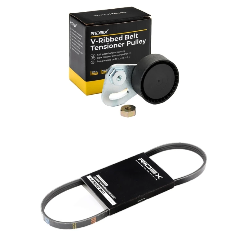 Image of RIDEX 542R0985 V-ribbed belt set V-Ribbed Belt Set (542)