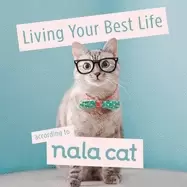 Image of living your best life according to nala cat