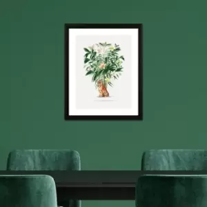 image of The Art Group Tiger Palm Framed Print Green