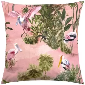 image of Platalea Outdoor Cushion Blush, Blush / 43 x 43cm / Cover Only