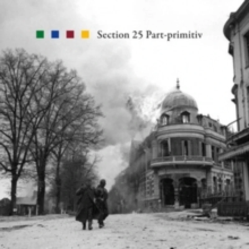 Image of Part-primitiv Vinyl