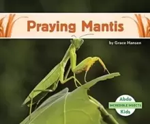 Image of Incredible Insects: Praying Mantis