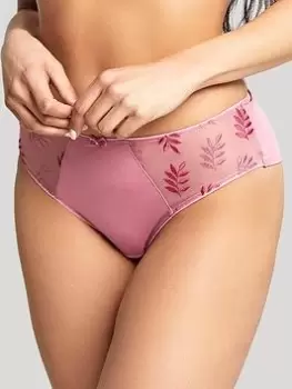 image of Panache Tango Brief - Rose, Pink, Size 12, Women