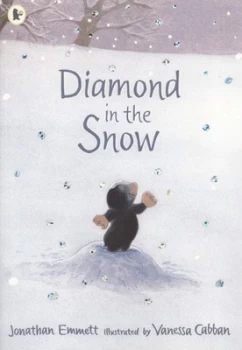 Image of Diamond in the Snow by Jonathan Emmett and Vanessa Cabban Paperback