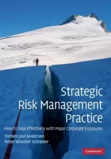 Image of Strategic Risk Management Practice : How to Deal Effectively with Major Corporate Exposures