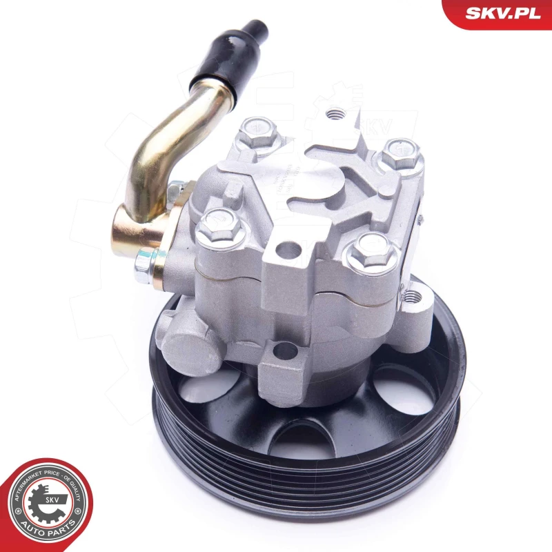 Image of ESEN SKV Power steering pump ESEN SKV 10SKV263