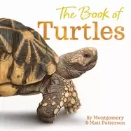 Image of book of turtles
