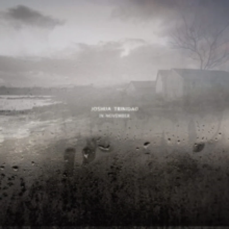 Image of Joshua Trinidad - In November [CD / Album] Music CDs - Music CD