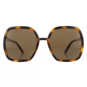 Square Havana and Gold Brown Sunglasses