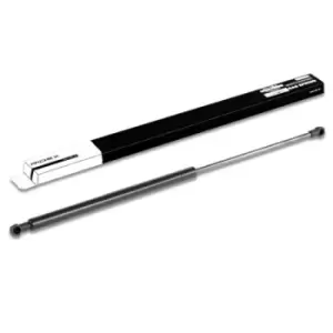 Image of RIDEX Tailgate strut RENAULT,JAGUAR 219G0229 4X43N406A10AC,C2S32825,8200025317