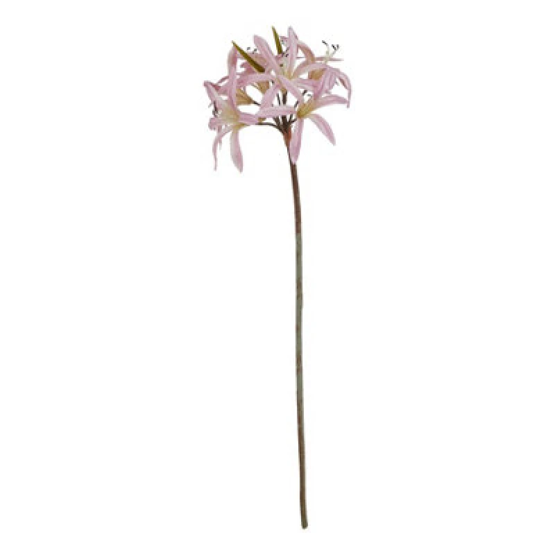 Image of The Natural Garden Collection Pink Lily Stem
