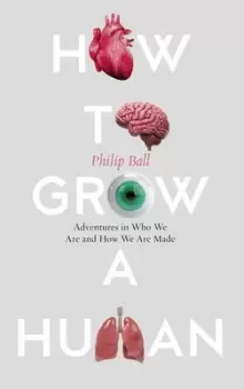 Image of How to build a human - Philip Ball - Hardback - Used