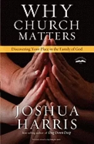 Image of why church matters discovering your place in the family of god