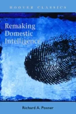 Image of remaking domestic intelligence