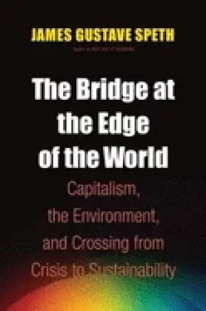 Image of bridge at the edge of the world capitalism the environment and crossing fro