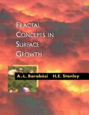 Image of fractal concepts in surface growth