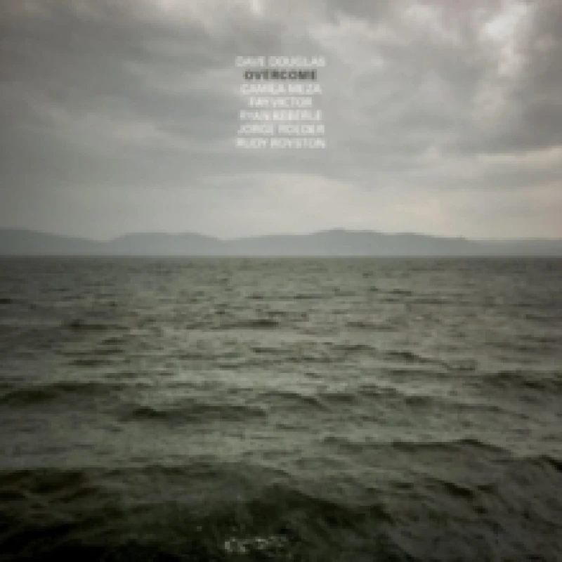 Image of Overcome Vinyl
