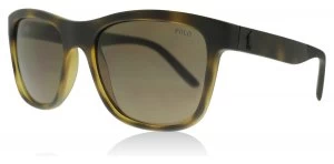 image of Polo Ralph Lauren PH4120 Sunglasses Shiny Dark Havana 560273 55mm