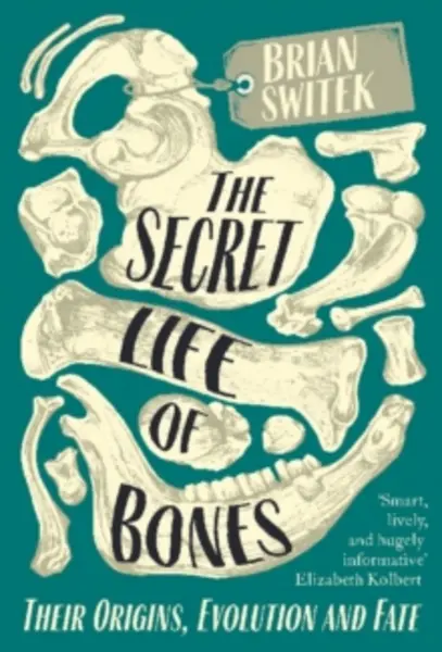 Image of secret life of bones their origins evolution and fate 9780715653791