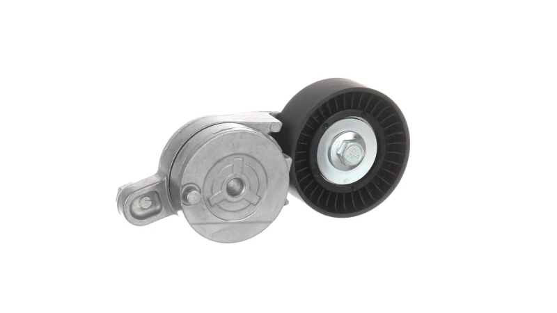 Image of SKF VKM 61091 Tensioner Pulley Tensioner Pulley,v-ribbed belt (310)