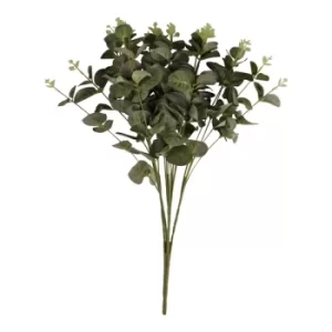 Image of Eucalyptus Leaf Spray in Green