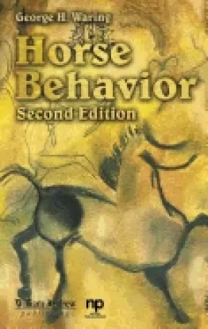 Image of horse behavior